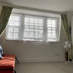 Penguin Flat